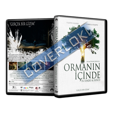 Ormanın İçinde Cover Tasarımı